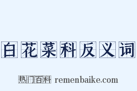 白花菜科反义词是什么意思的图片